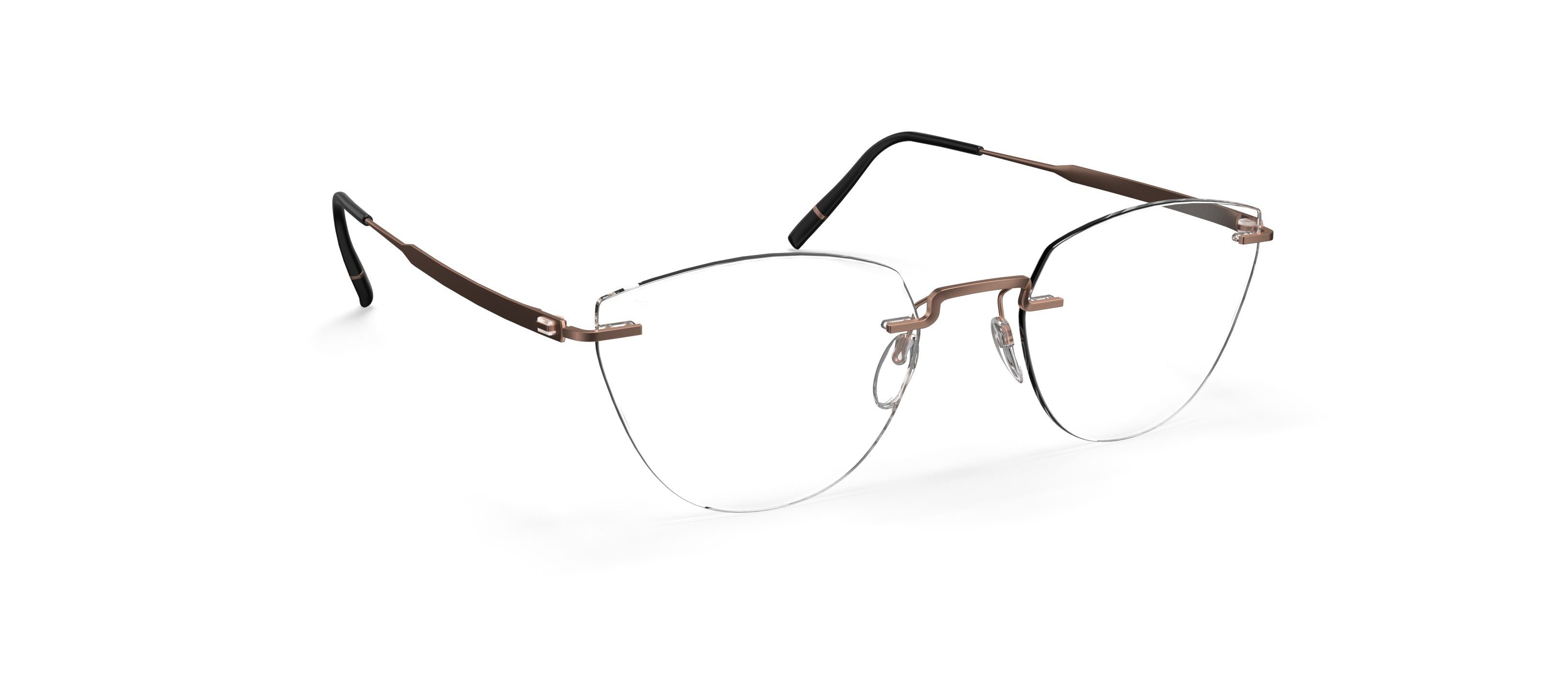 The Visionary 5586