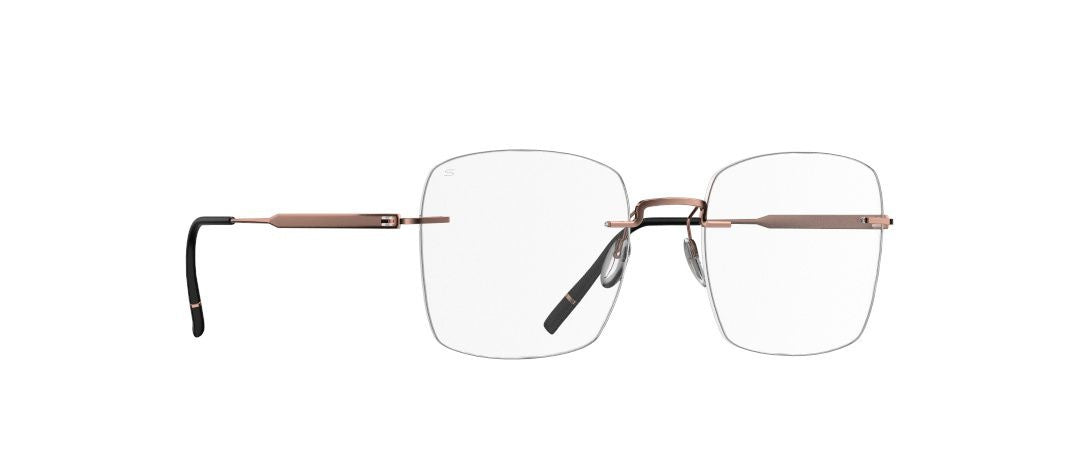 The Visionary 5586