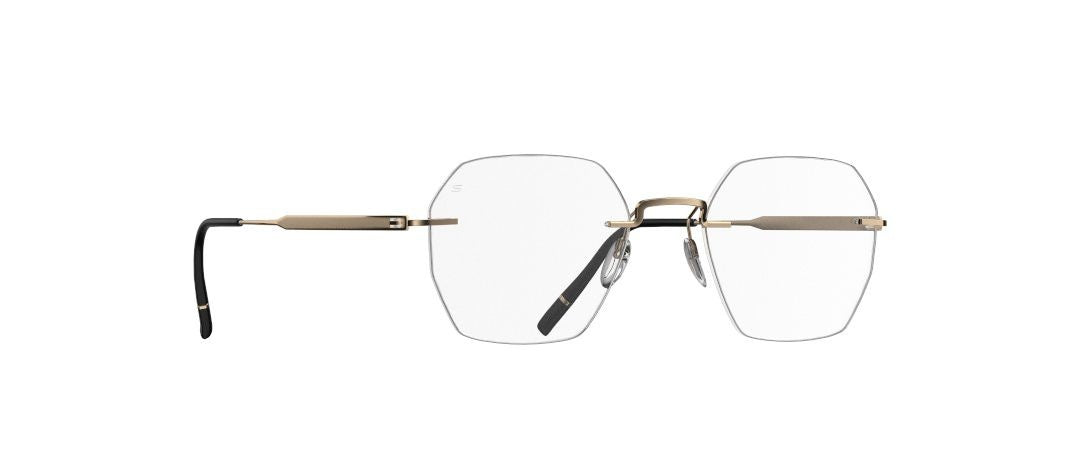 The Visionary 5586